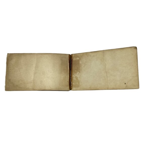 Vintage Antique 1921 Bird Guide Book Water Game and Birds of Prey Chester Reed - Picture 6 of 10